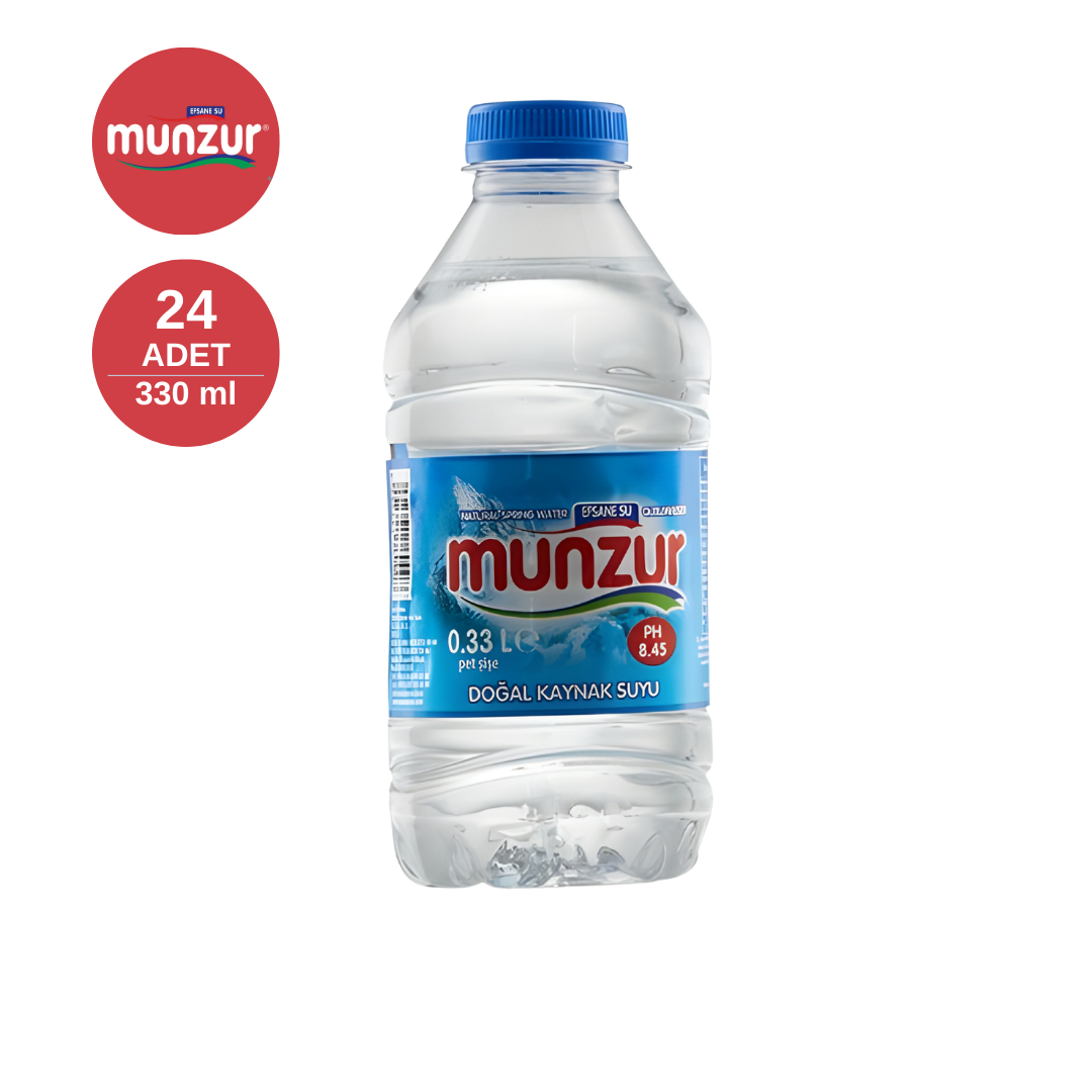MUNZUR 0.33 LT Pet (x24)