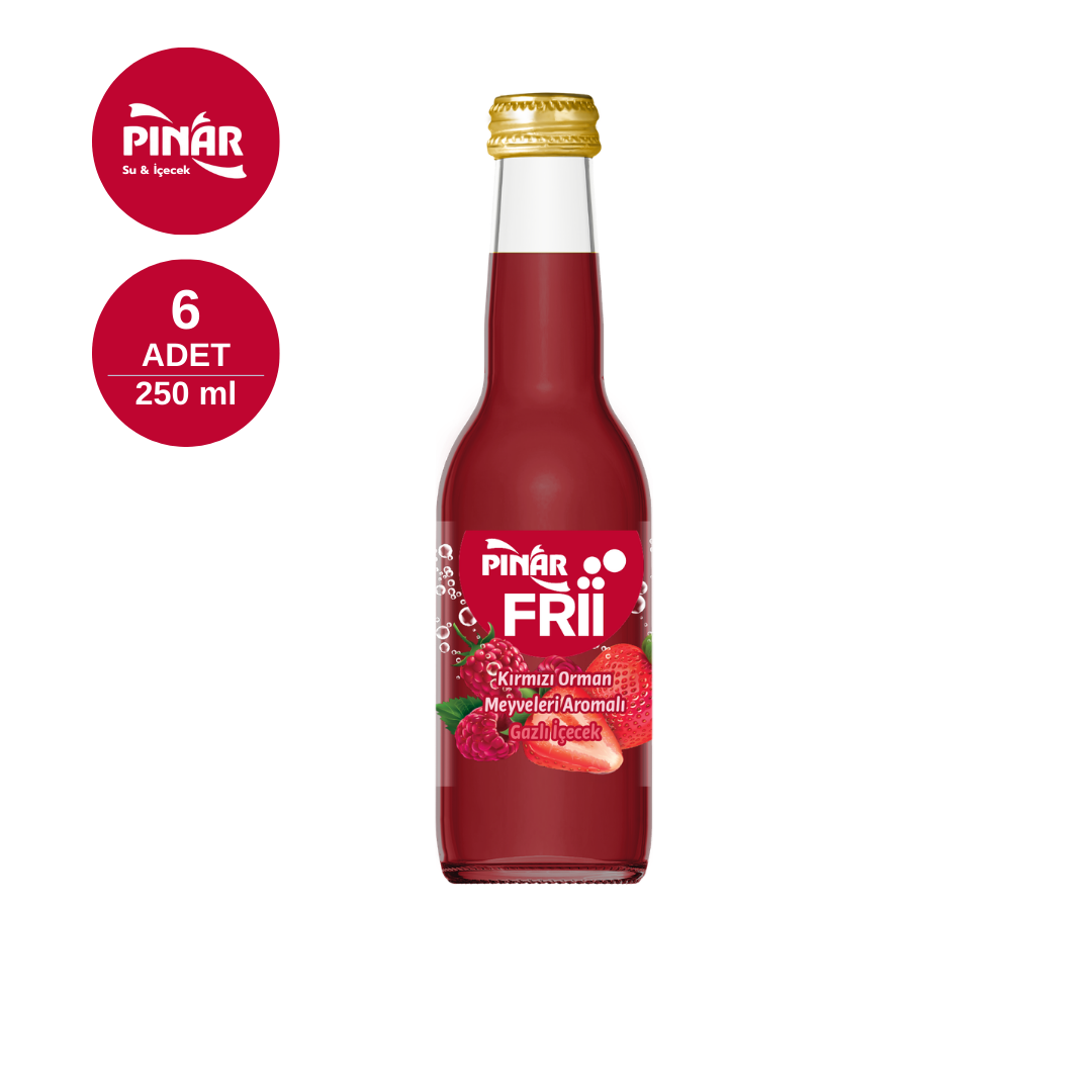 PINAR 0.25 LT FRII Kırmızı Orman Meyveleri (x6)