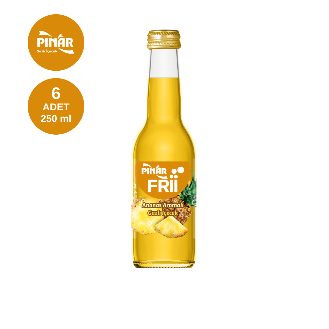 PINAR 0.25 LT FRII Ananas (x6)