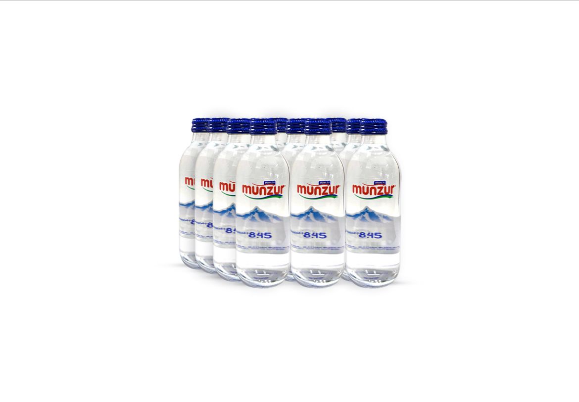 MUNZUR 0.33 LT Cam Şişe (x12)