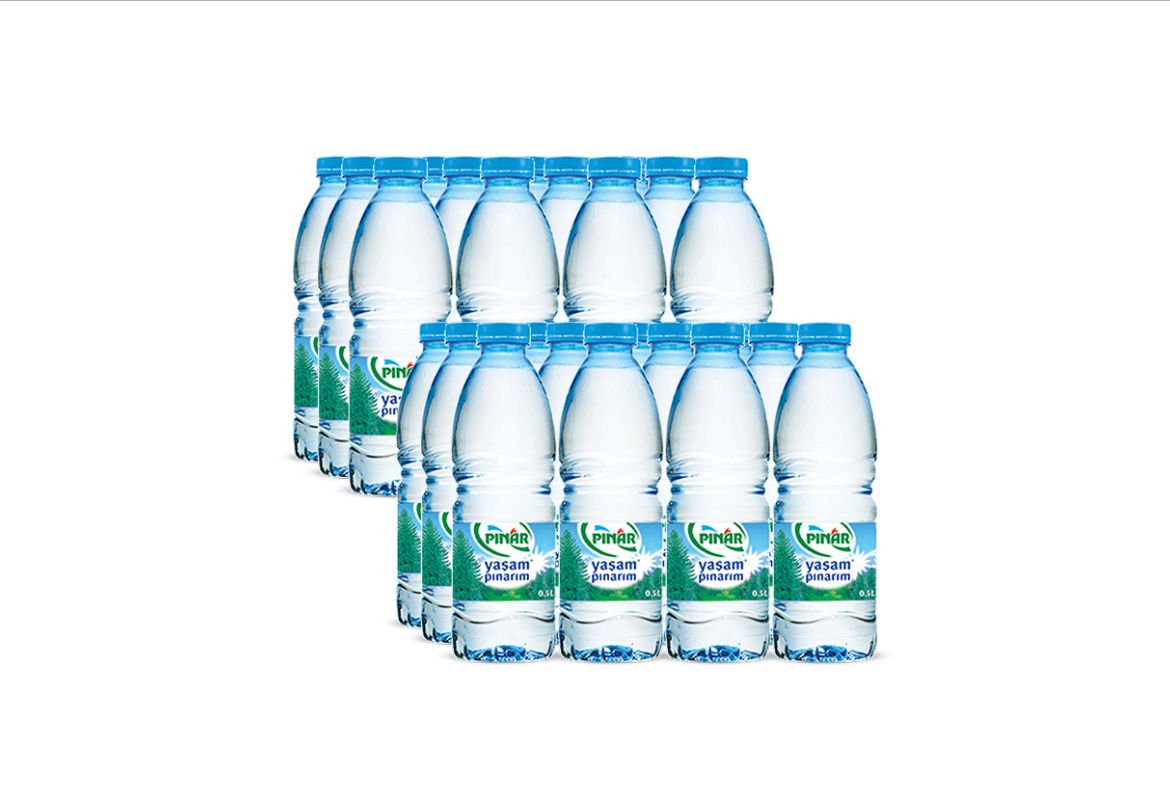 PINAR 0.5 LT Pet (X24)