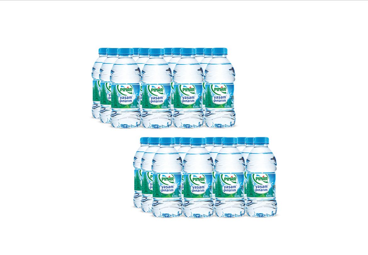 PINAR 0.33 LT Pet (x24)