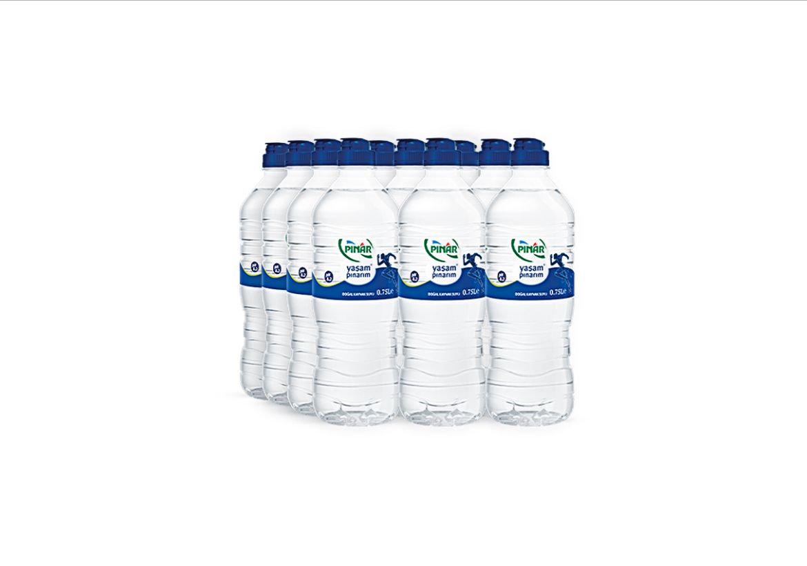 PINAR 0.75 LT Sporcu Pet (x12)
